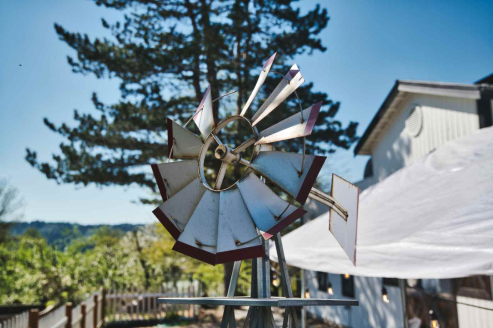 Small decorative windmill in a Duvall, WA backyard garden on a sunny day